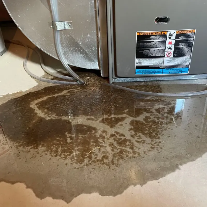 Pipe Burst and Leak Restoration in Jamestown, KY