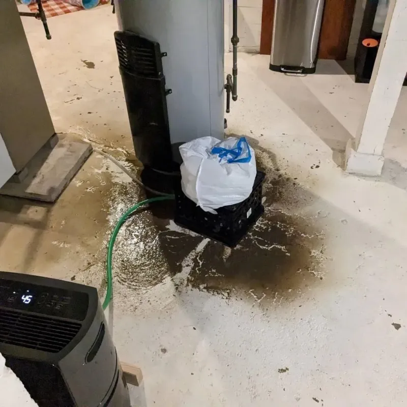 Sewage Backup Cleanup Service in Jamestown, KY